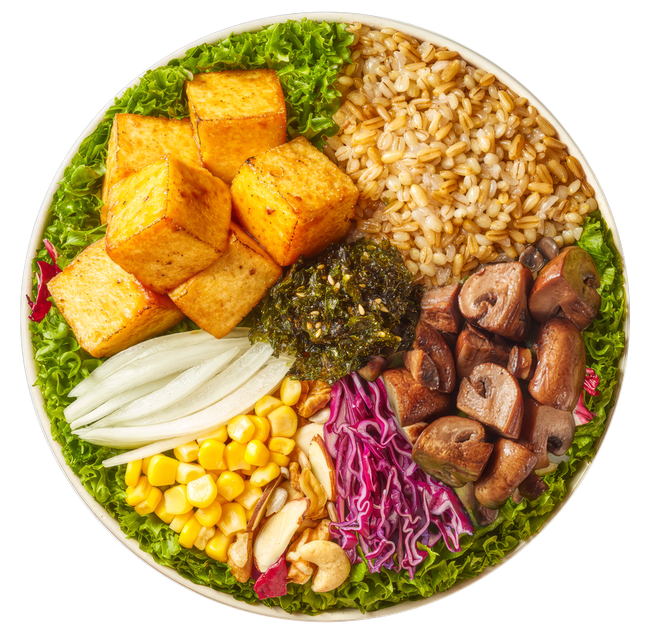 Bibim Grain Bowl_Fried Tofu