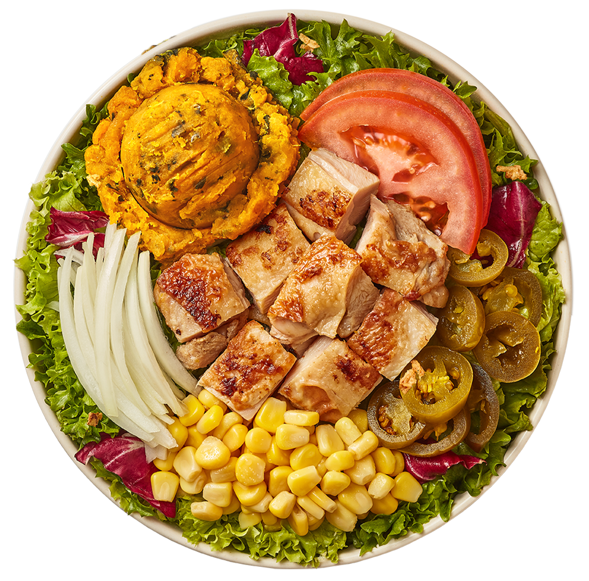 Salady_Roast Chicken Thigh_